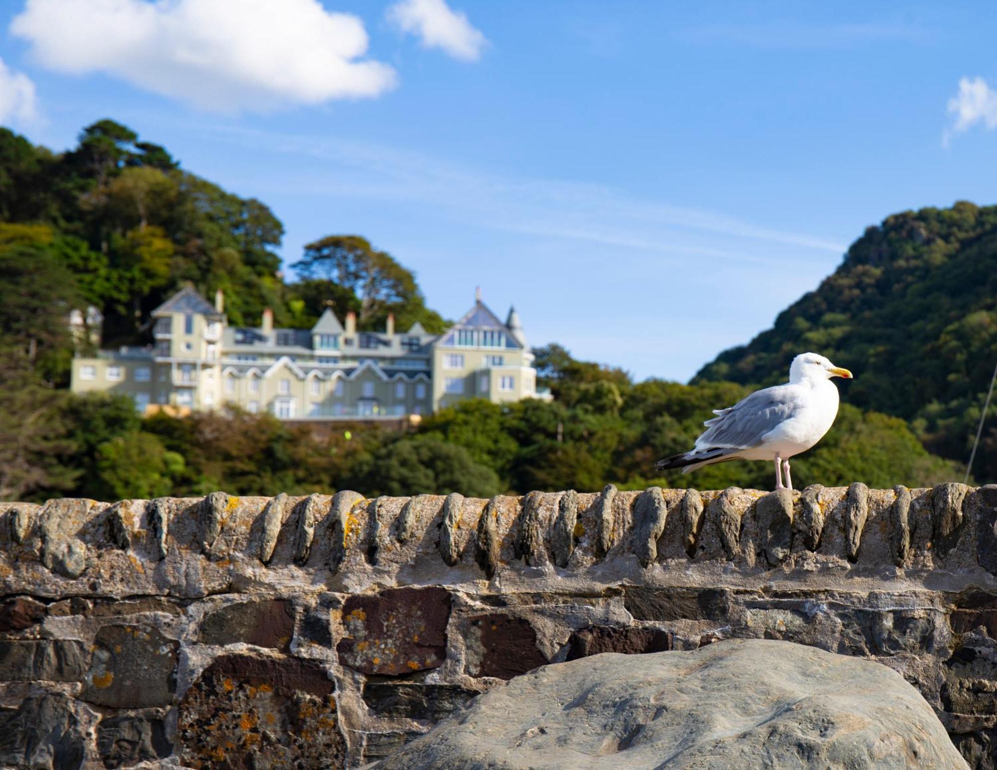 Tors Park Apartment Lynmouth Bagian luar foto
