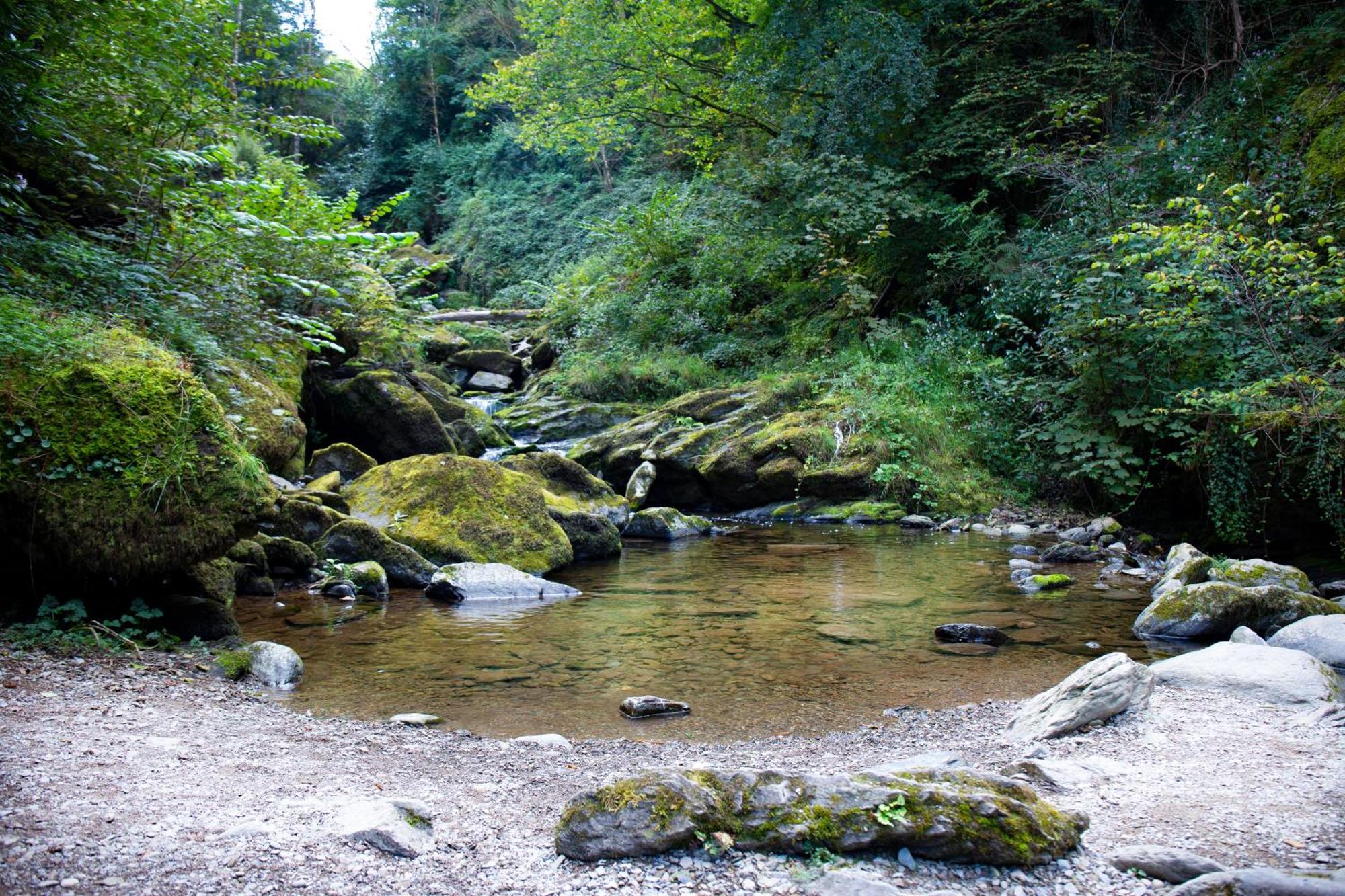 Tors Park Apartment Lynmouth Bagian luar foto